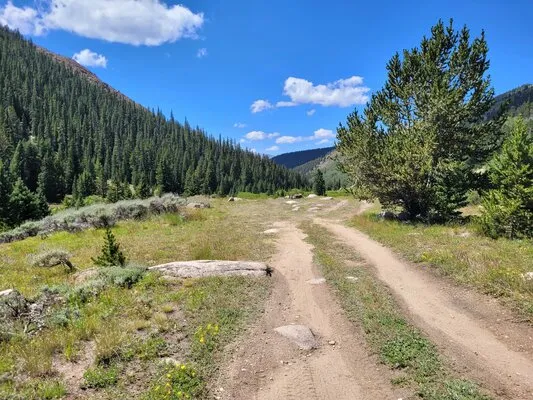 big-union-creek-dispersed-camping-leadville-hmesn