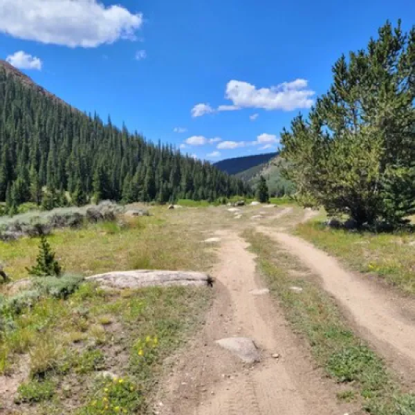 big-union-creek-dispersed-camping-leadville-hmesn