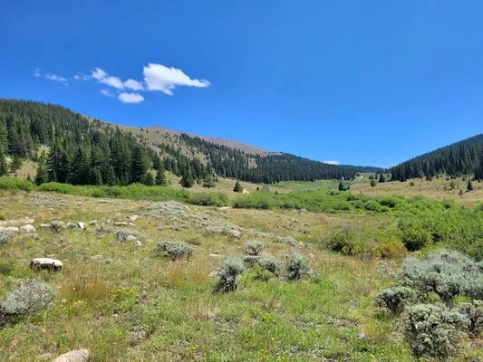 big-union-creek-dispersed-camping-leadville-wzoeu