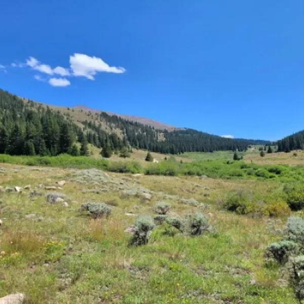 big-union-creek-dispersed-camping-leadville-wzoeu