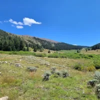 Big Union Creek Dispersed Camping