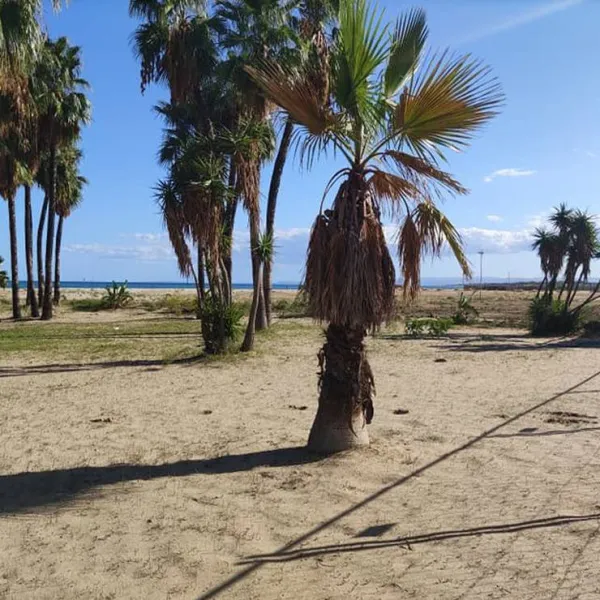lua-beach-catania-19jvi