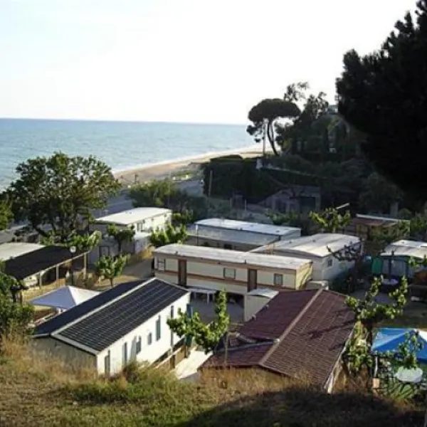 kanguro-sant-pol-de-mar-efz8e