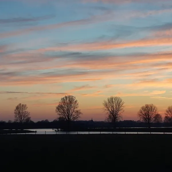 minicamping-de-bloemenkamp-gennep-milsbeek-3hlc1