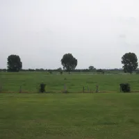 minicamping-de-bloemenkamp-gennep-milsbeek-8djso