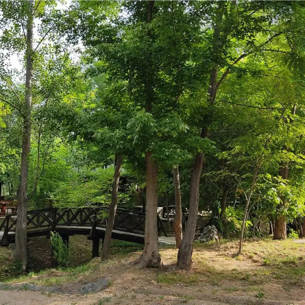 auto-camp-green-park-mostar-bqkqm