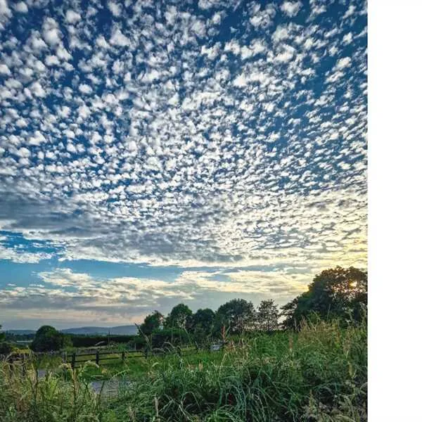shay-gate-farm-campsite-colne-2vyix