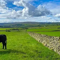 shay-gate-farm-campsite-colne-9ts3y