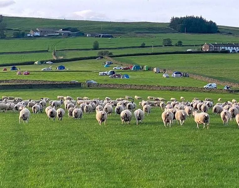shay-gate-farm-campsite-colne-had3s