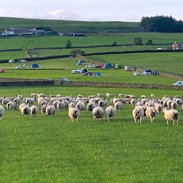 shay-gate-farm-campsite-colne-had3s