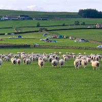 shay-gate-farm-campsite-colne-had3s