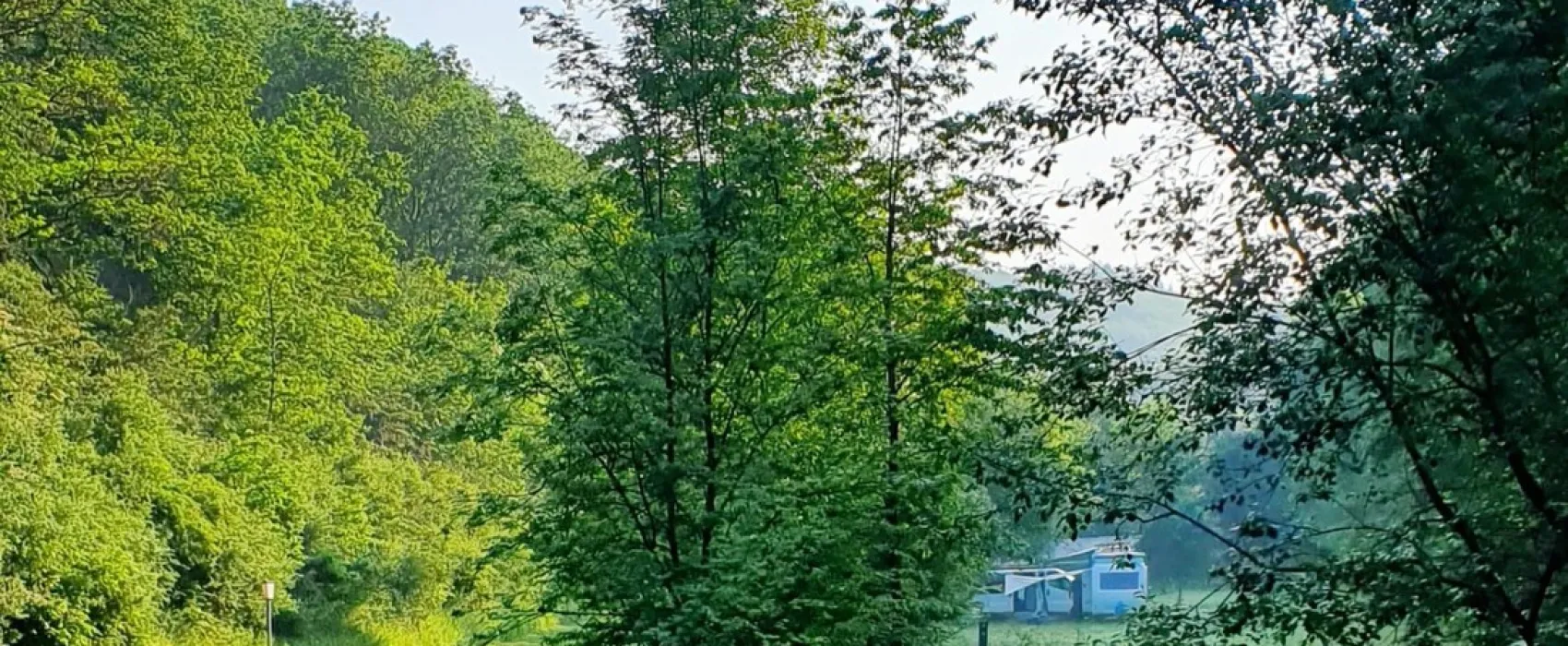 Drei Spatzen