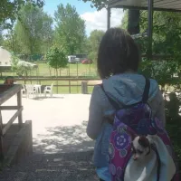 camping-lago-di-piediluco-terni-wngkc