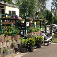 camping-dusseldorf-lorick-dusseldorf-lorick-bes0c