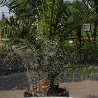 camping-dusseldorf-lorick-dusseldorf-lorick-t76fc
