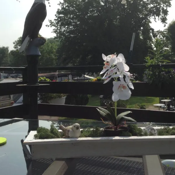 camping-dusseldorf-lorick-dusseldorf-lorick-tbrze