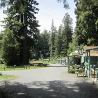redcrest-resort-redcrest-2s6fa