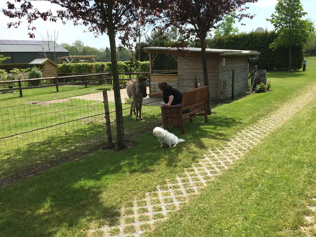 minicamping-dun-ezel-hooge-mierde-imvex
