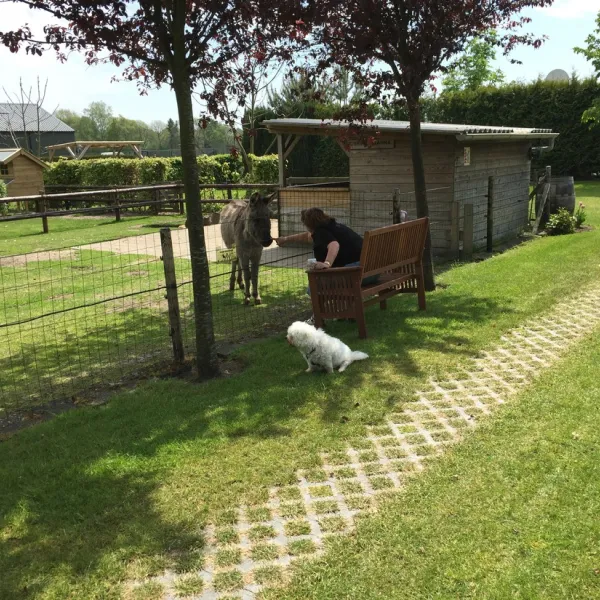 minicamping-dun-ezel-hooge-mierde-imvex