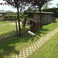 minicamping-dun-ezel-hooge-mierde-imvex