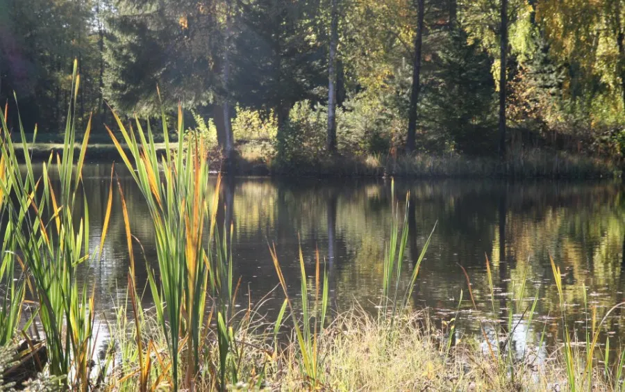 manstorps-stugor-och-sportfiske-hallarod-hyrsn