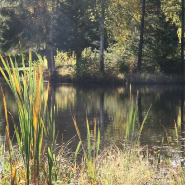 manstorps-stugor-och-sportfiske-hallarod-hyrsn