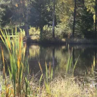 manstorps-stugor-och-sportfiske-hallarod-hyrsn