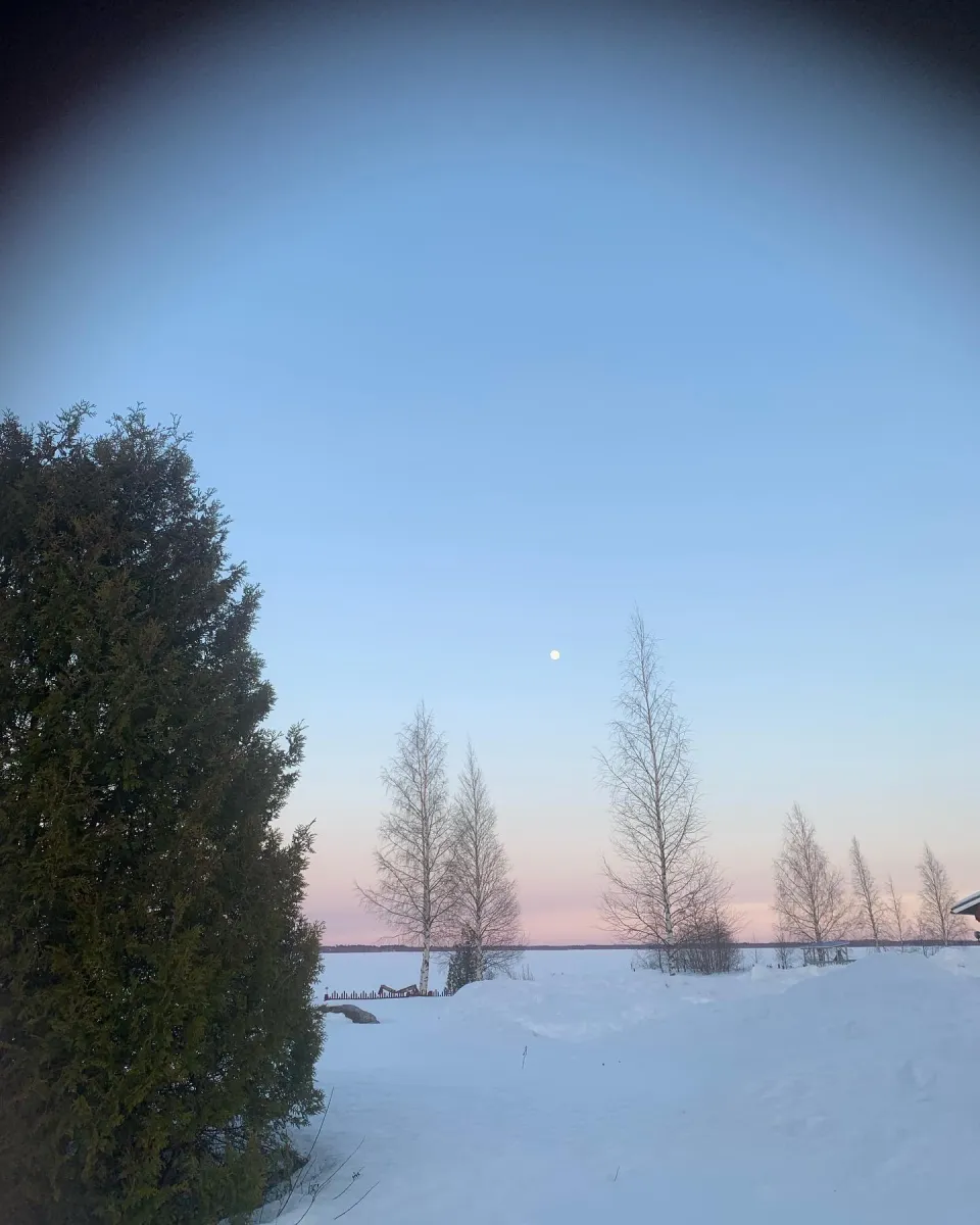 halsuan-helmi-halsua-iqvnl