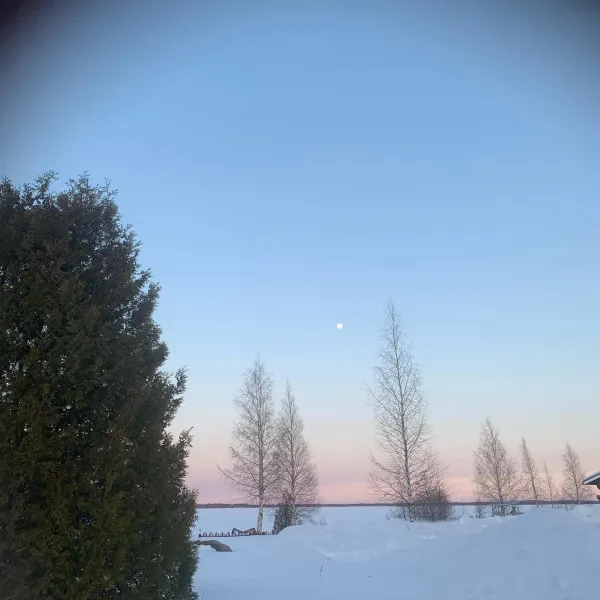 halsuan-helmi-halsua-iqvnl