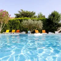 pegomas-st-remy-de-provence-bouches-du-rhocircne-13ob2
