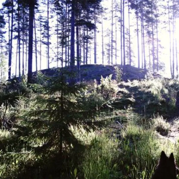 treens-natur-o-fiskecamp-gunnarskog-1dy9c