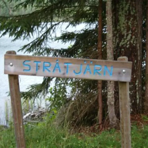 treens-natur-o-fiskecamp-gunnarskog-djero