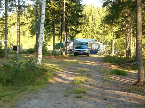 treens-natur-o-fiskecamp-gunnarskog-fvyrv