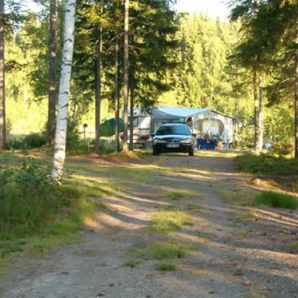 treens-natur-o-fiskecamp-gunnarskog-fvyrv
