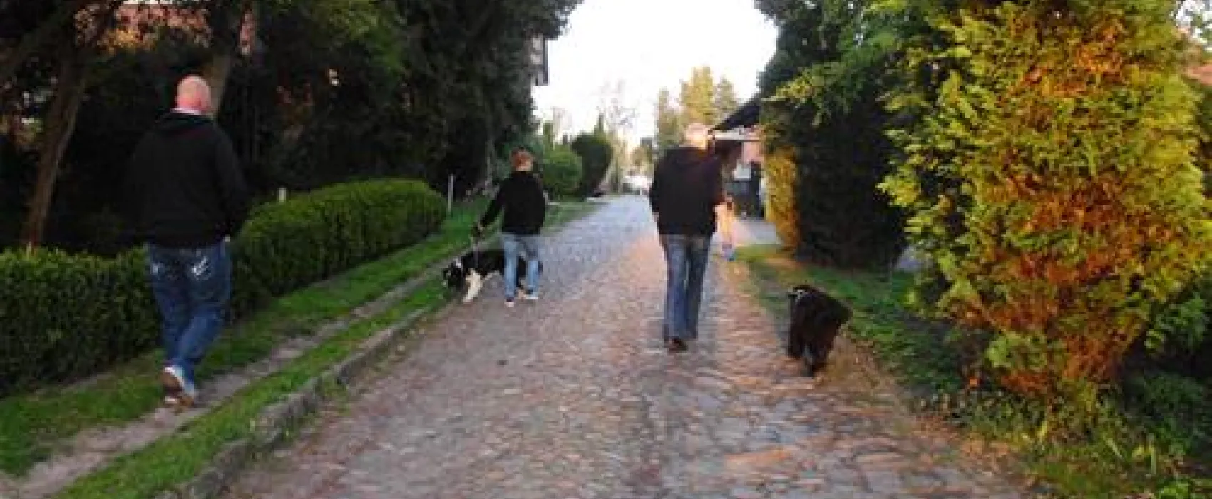 Camping Nesshof