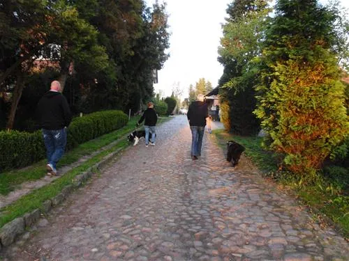 camping-nesshof-guderhandviertel-1hvug