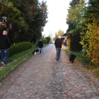 Camping Nesshof