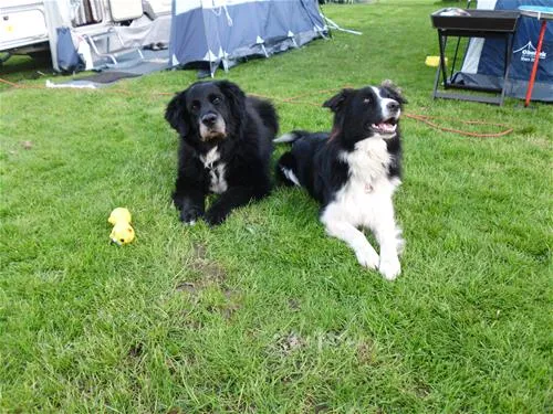 camping-nesshof-guderhandviertel-esxqk