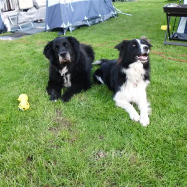 camping-nesshof-guderhandviertel-esxqk