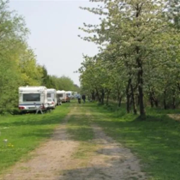 camping-nesshof-guderhandviertel-jcttz