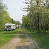 camping-nesshof-guderhandviertel-jcttz