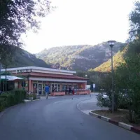 camping-oliva-rabac-54ogy