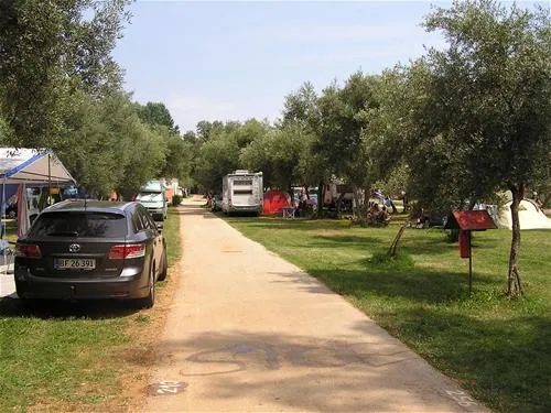 camping-oliva-rabac-n5kwo