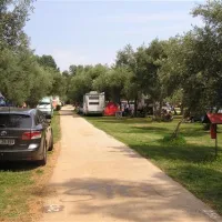 camping-oliva-rabac-n5kwo