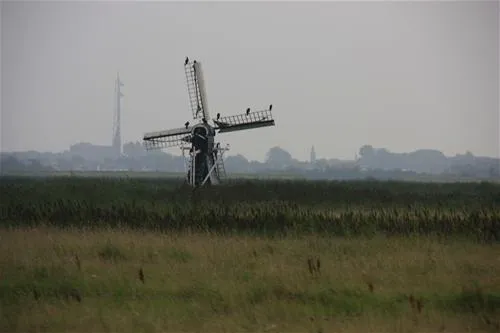 texelcamping-loodsmansduin-texel-den-hoorn-fvhzp