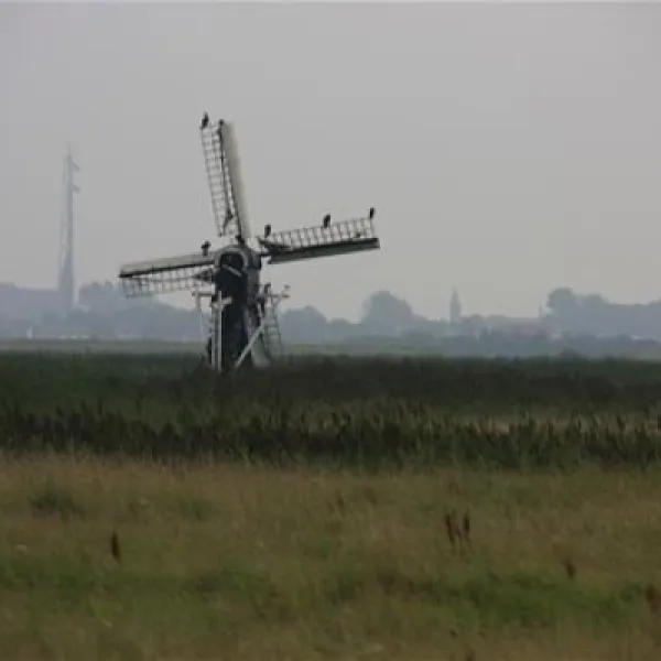 texelcamping-loodsmansduin-texel-den-hoorn-fvhzp