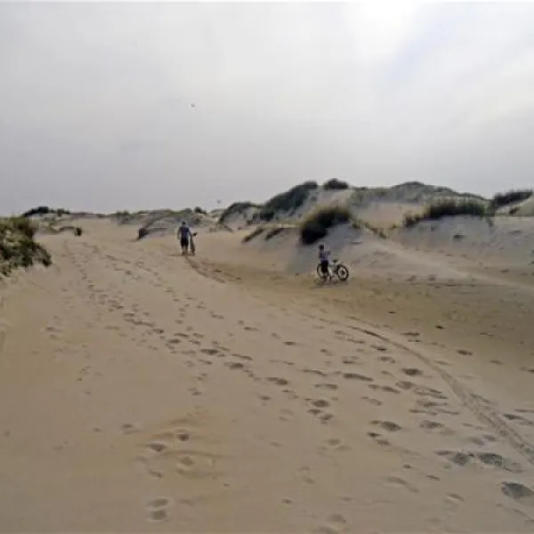 texelcamping-loodsmansduin-texel-den-hoorn-ui9rq