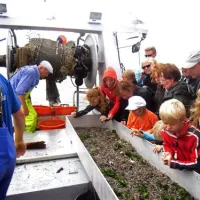 texelcamping-loodsmansduin-texel-den-hoorn-vhkvs