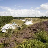 texelcamping-loodsmansduin-texel-den-hoorn-yg7pf