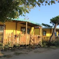campeggio-villaggio-pineta-milano-marittima-vthot
